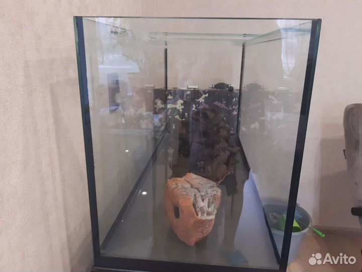 Аквариум, грунт и прочее