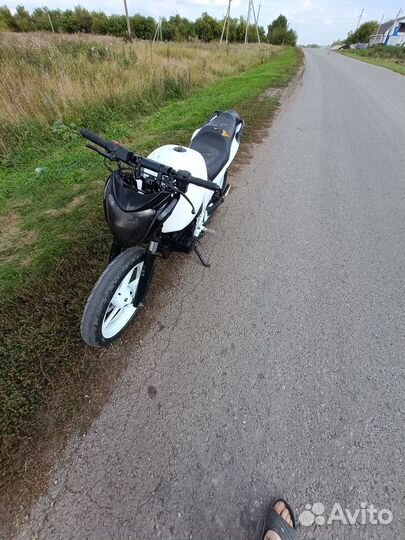 Рейсер нитро