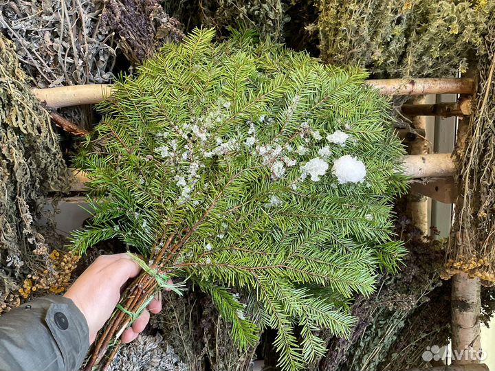 Банные веники и травы для бани