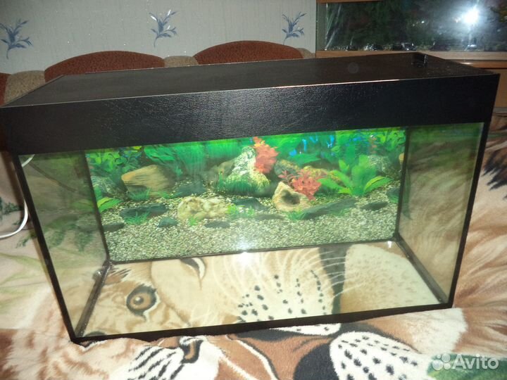 Большой выбор новых Аквариумов и Черепашников