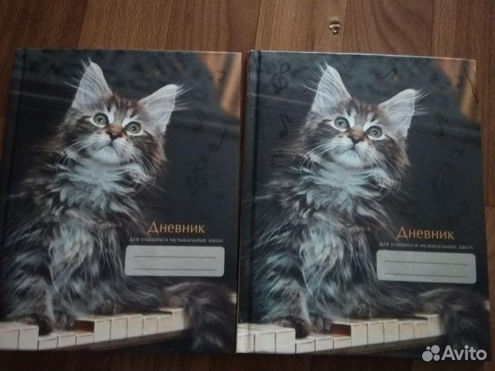 Дневники для учащихся музыкальных школ