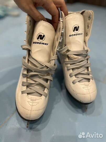 Коньки nordway р.34