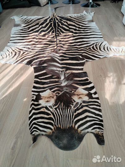 Шкура зебры натуральная