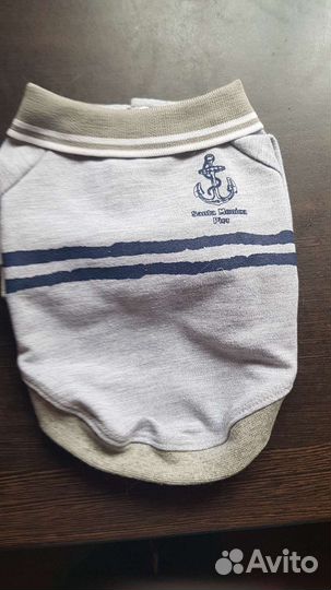 Одежда для маленьких собак