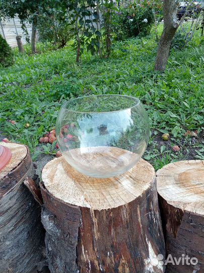 Аквариум круглый