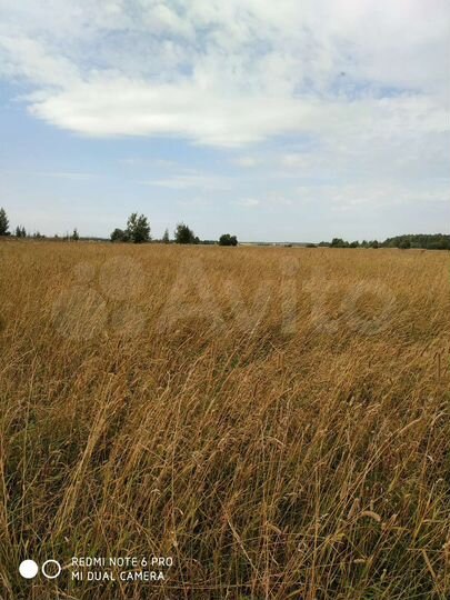 Участок 1,7 га (СНТ, ДНП)