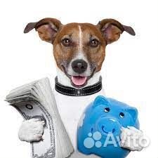 Халтура/Для студентов/Без опыта