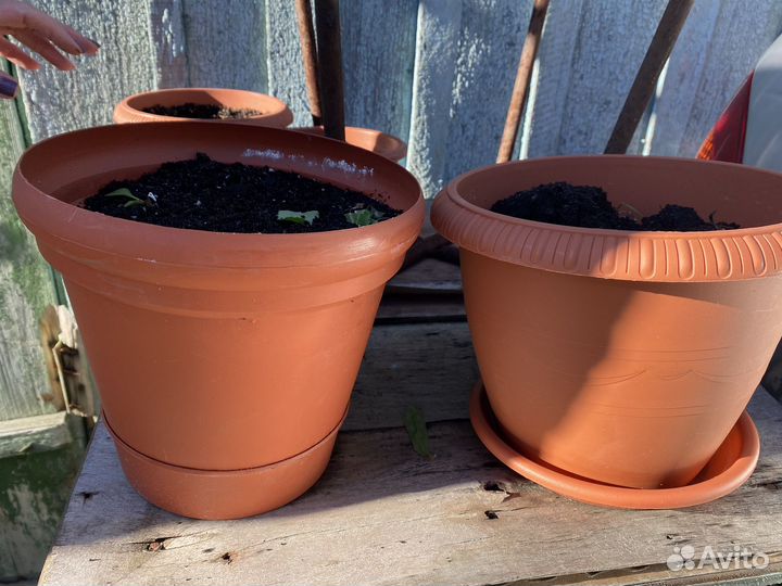 Горшки для цветов