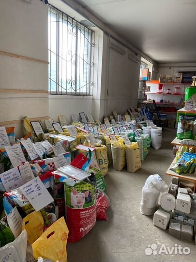 Фелуцен для свиней и поросят