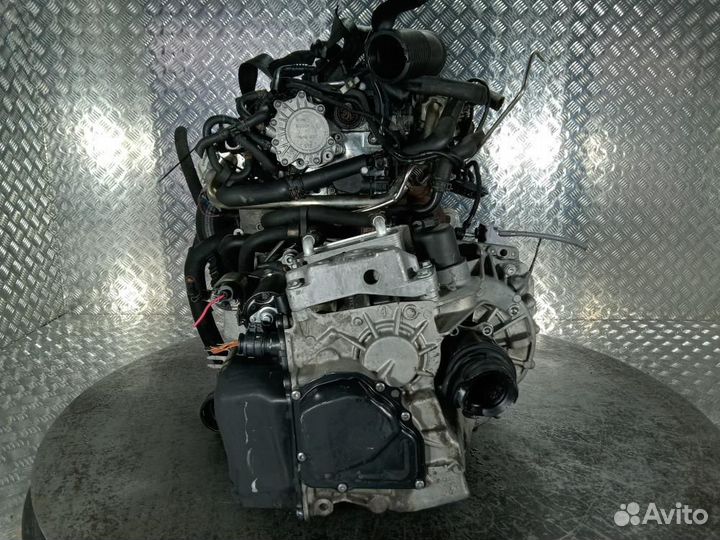 Двигатель Volkswagen Golf 5 (03-09) BKD