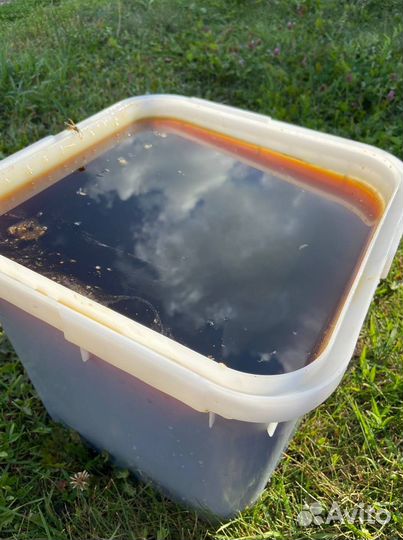 Алтайский мед оптом 2023