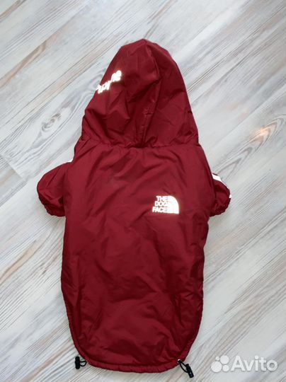 Комбинезон для собак The Dog Face