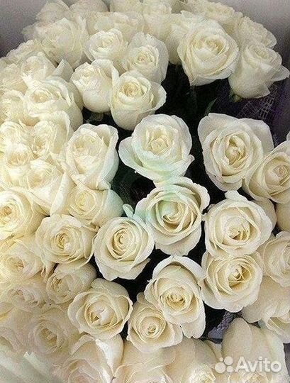 Высокие розы, букеты, цветы Доставка