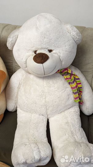 Большой кот и большой медведь