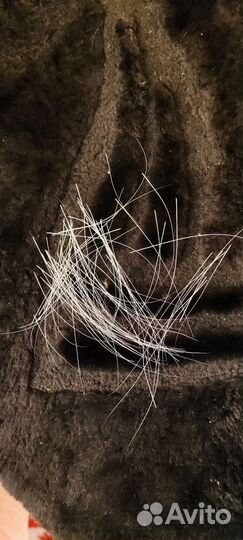 Кошачьи усы (вибриссы)