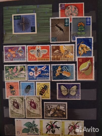 Коллекция почтовых марок цветы 1960-80гг