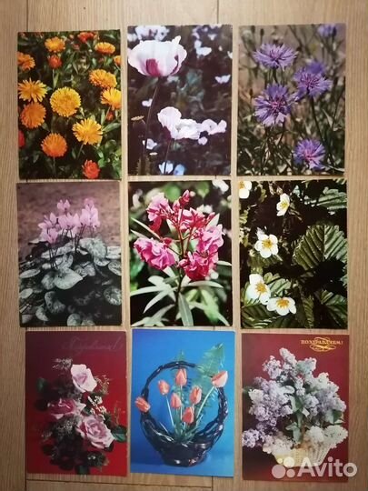 Набор чистых открыток СССР-50 шт