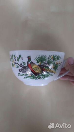 Чайные чашки гиганты Вербилки, Хайта