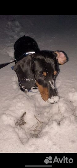 Кабель для вязки