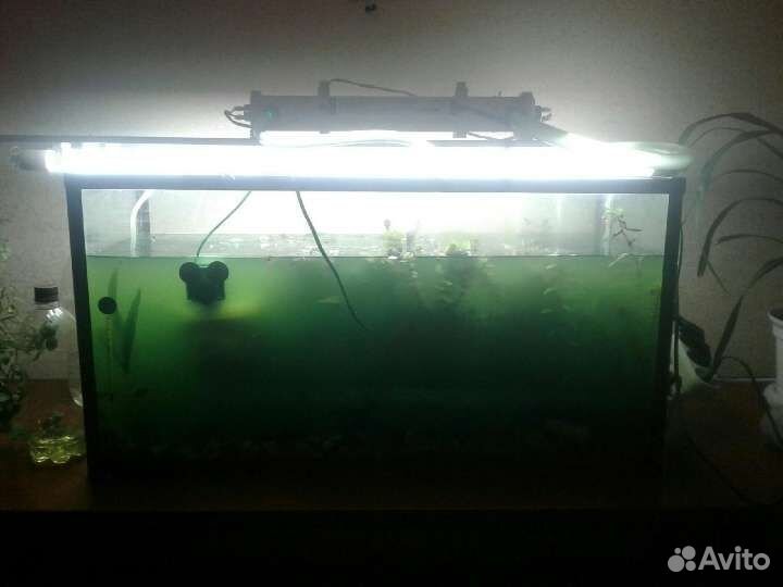 Стерилизатор в аквариум