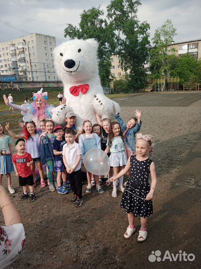Поздравление от белого мишки. Медведь Умка