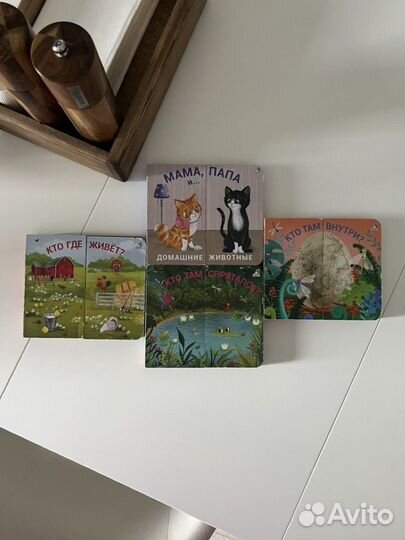 Серия книг Книжки задвижки Робинс