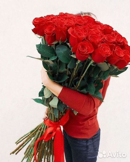 Высокие розы Гигантские розы 110