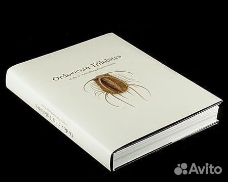 Ordovician Trilobites of the St. Petersburg region