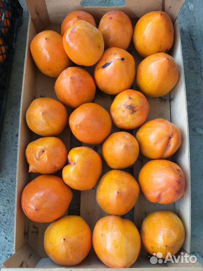 Хурма сушеная