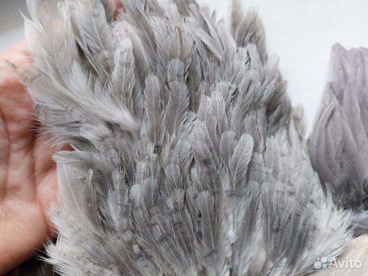 Натуральное перо для творчества. Мушки