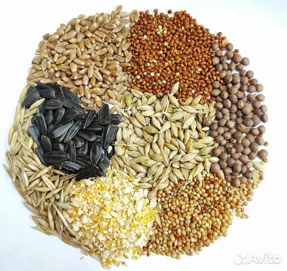 Зерносмесь