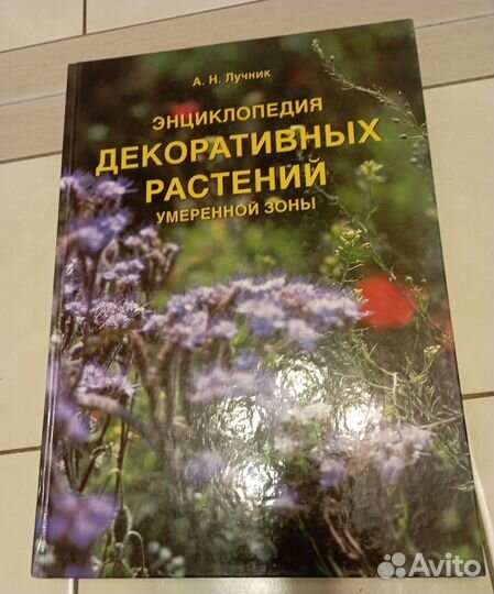 А.Н.Лучник Энциклопедия декоративных растений