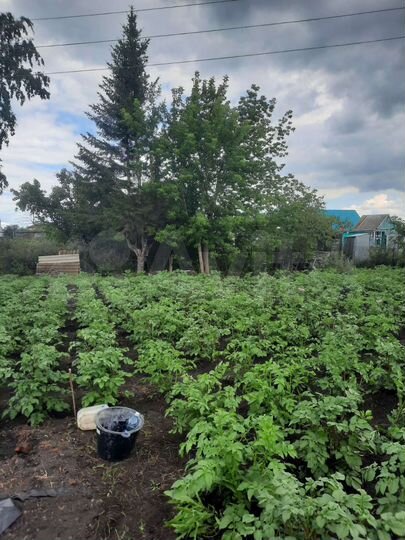 Дача 20 м² на участке 5 сот.