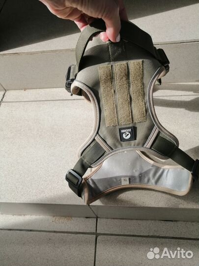 Шлейка для собаки