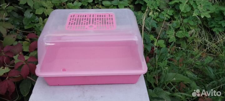 Террариум Дюна