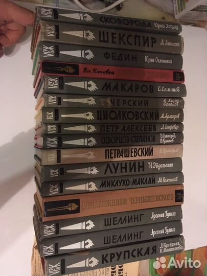 Серия книг «жзл»