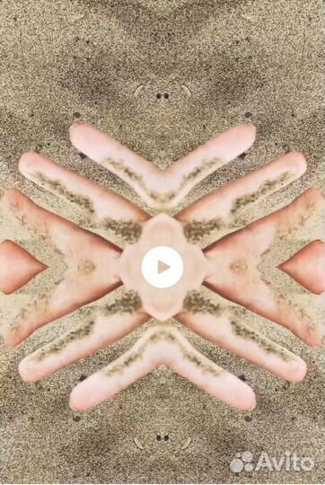 Видеопоздравления / Видеомонтаж