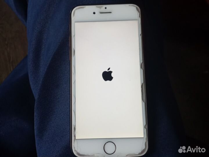 iPhone 6