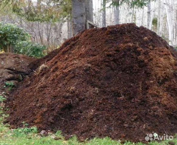 Перегной с большим содержанием озота