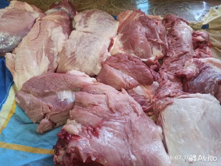 Мясо свинина домашняя