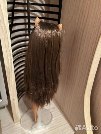 Клодин монстер хай