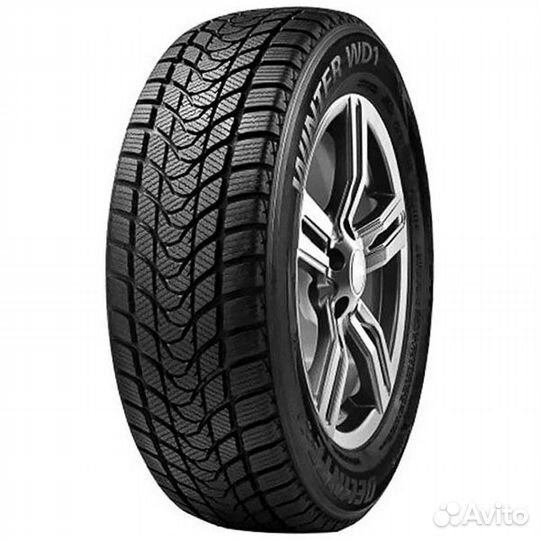 Delinte Winter WD1 205/65 R16