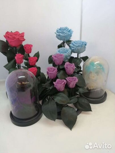 Роза в колбе оптом и в розницу