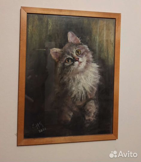 Картина * Котик