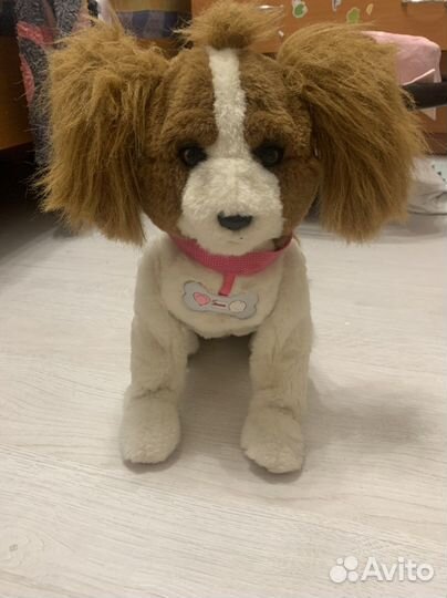 Интерактивная собака