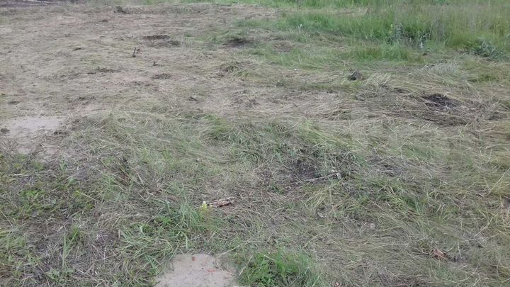 Участок 10 сот. (ИЖС)