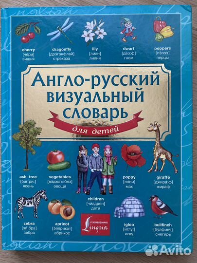 Англо русский визуальный словарь