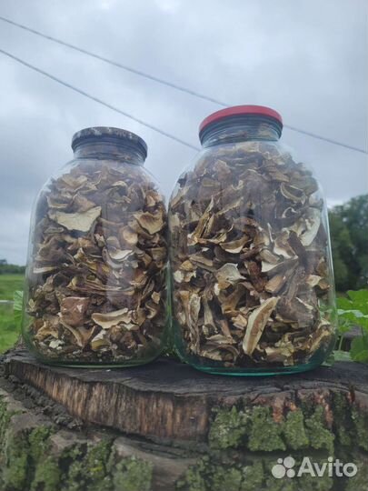 Грибы белые сушеные и замороженные с доставкой