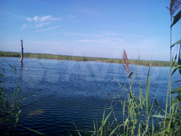 Участок 15 сот. (ИЖС)