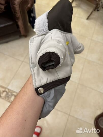 Комбинезон для собаки